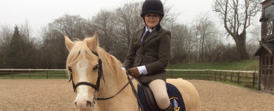 Success for the Equestrian Team