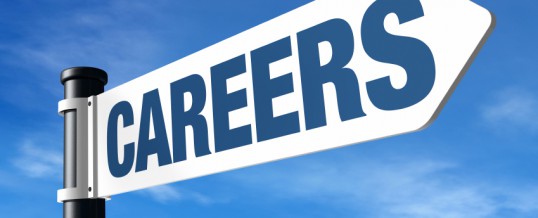 Careers – National Citizens Service – Summer Activities