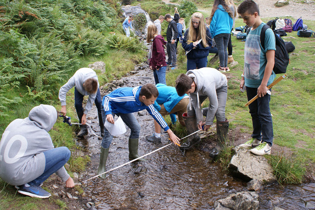 A group of students measuring the width of a stream in a field