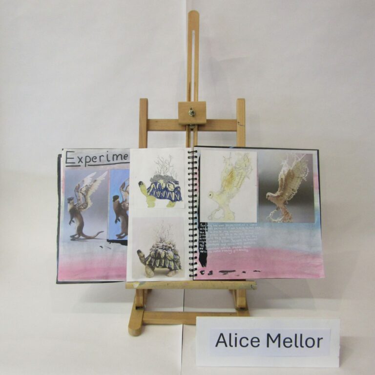 Alice Mellor