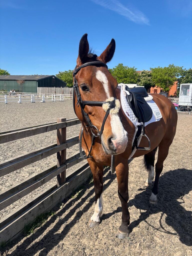 One of the students horses